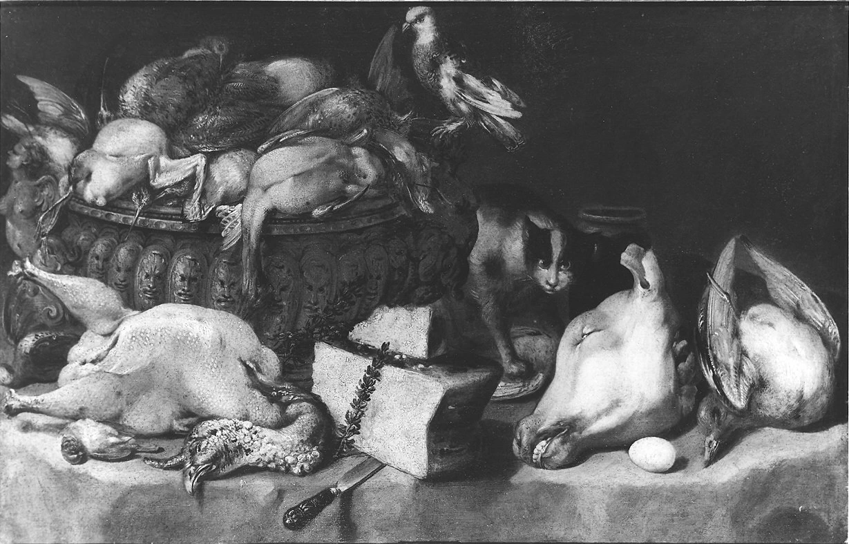 Natura morta - Piacenza